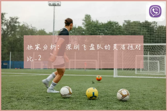 独家分析：深圳飞盘队的灵活性对比_2