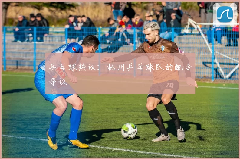 乒乓球热议：杭州乒乓球队的配合争议