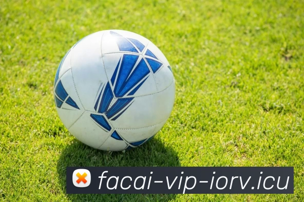 米兰体育APP 封面图